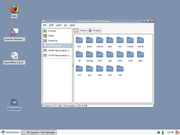 File manager