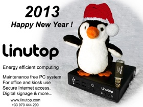 Happy New Year 2013!